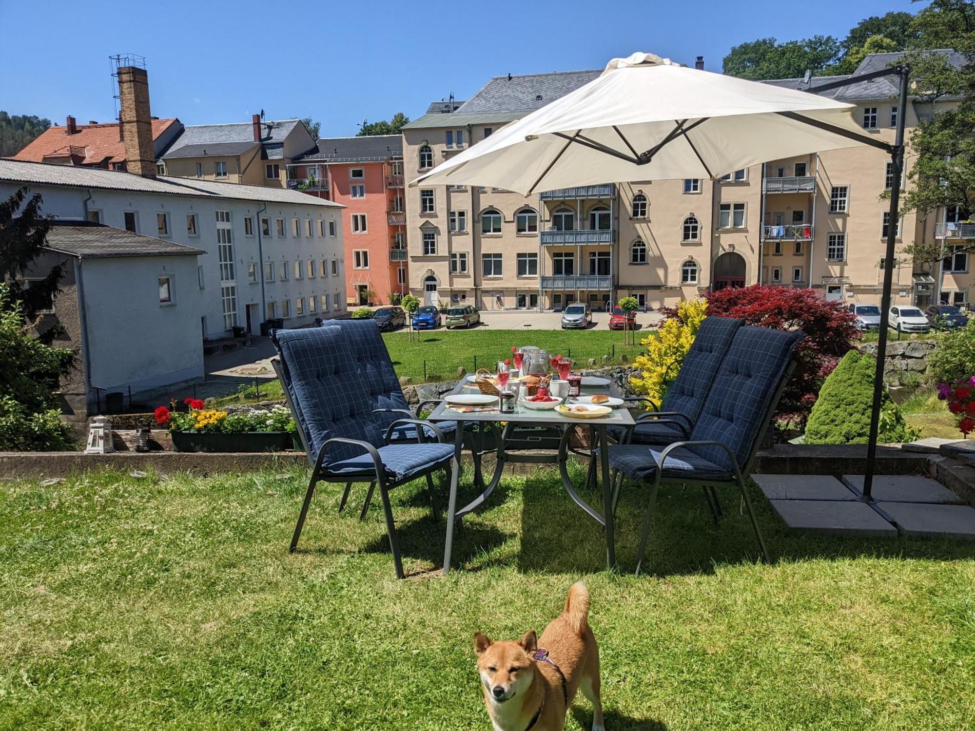 Ut - Urlaubsmagie - Urlaubstraum Mit Whirlpool, Pool & Sauna Sebnitz Zewnętrze zdjęcie
