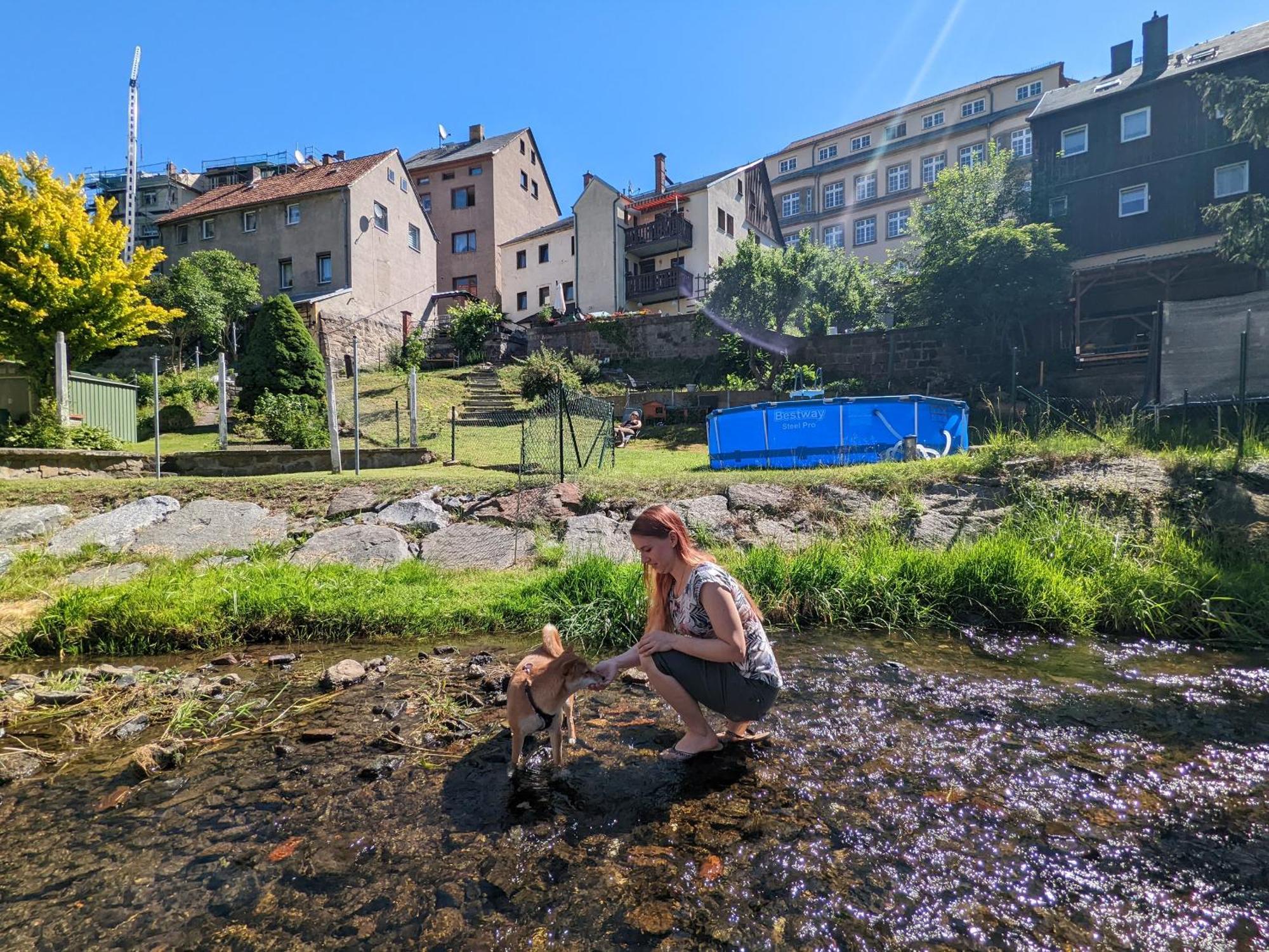Ut - Urlaubsmagie - Urlaubstraum Mit Whirlpool, Pool & Sauna Sebnitz Zewnętrze zdjęcie