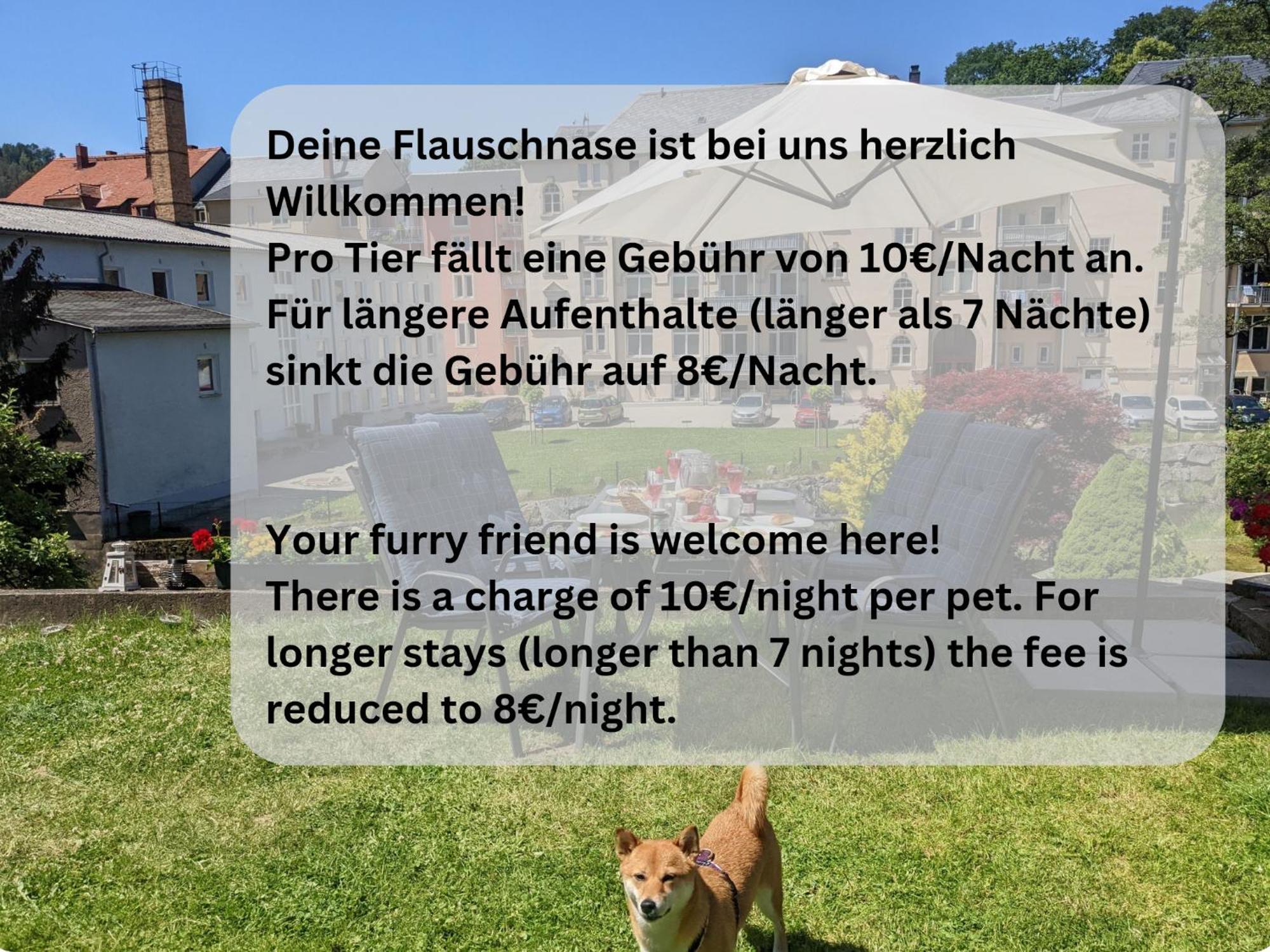 Ut - Urlaubsmagie - Urlaubstraum Mit Whirlpool, Pool & Sauna Sebnitz Zewnętrze zdjęcie